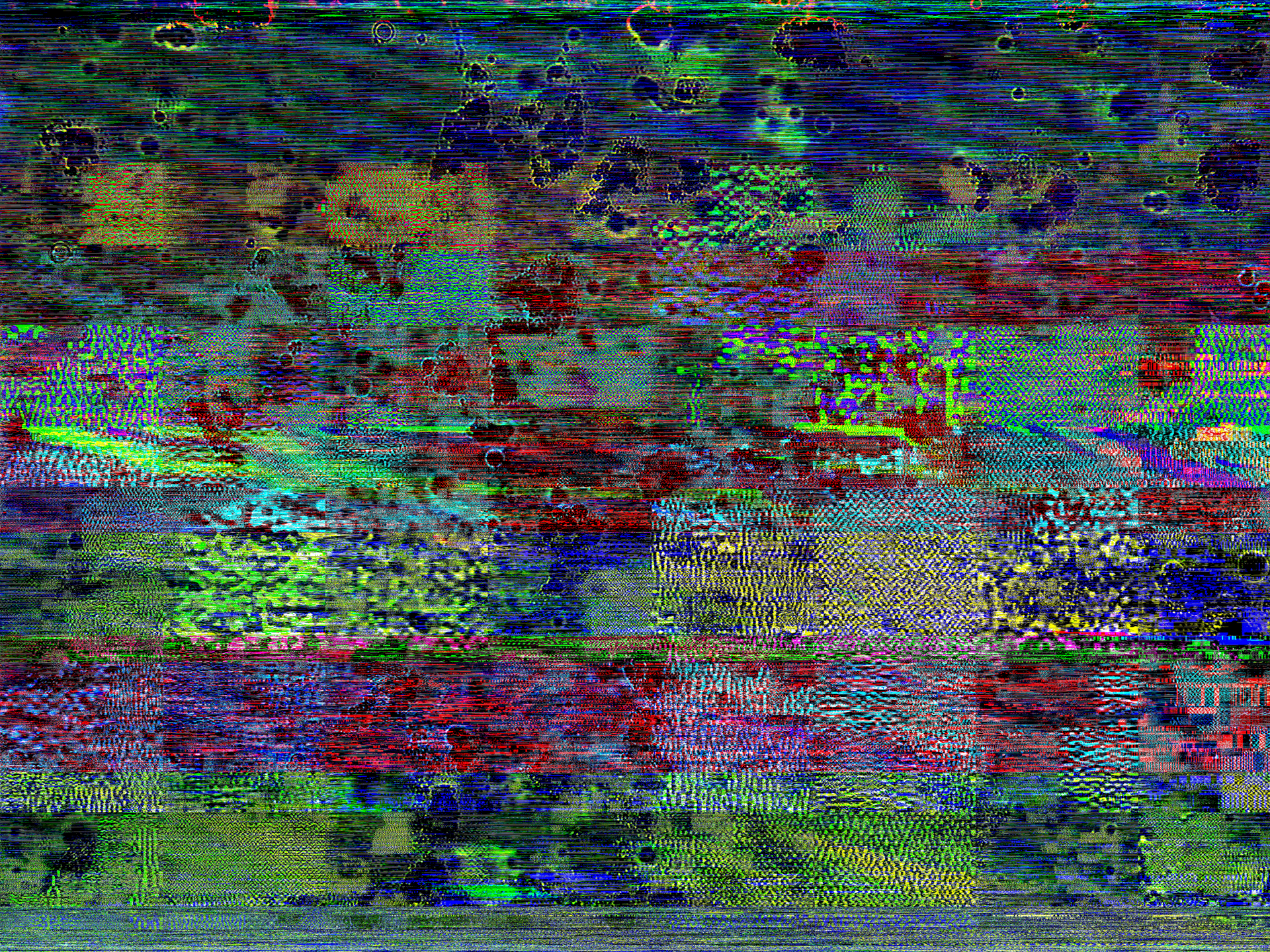 Dom Barra — Biologlitchy — Adipocytes, 2017