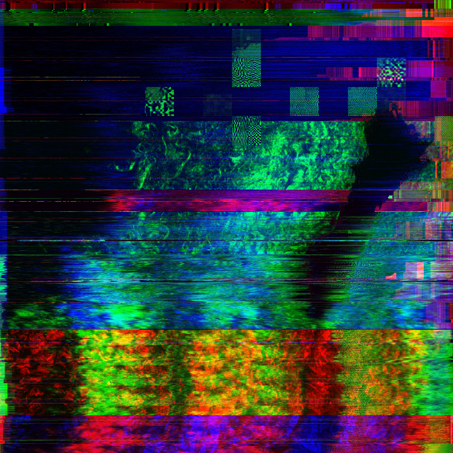 Dom Barra — Biologlitchy — Lungs 1, 2017