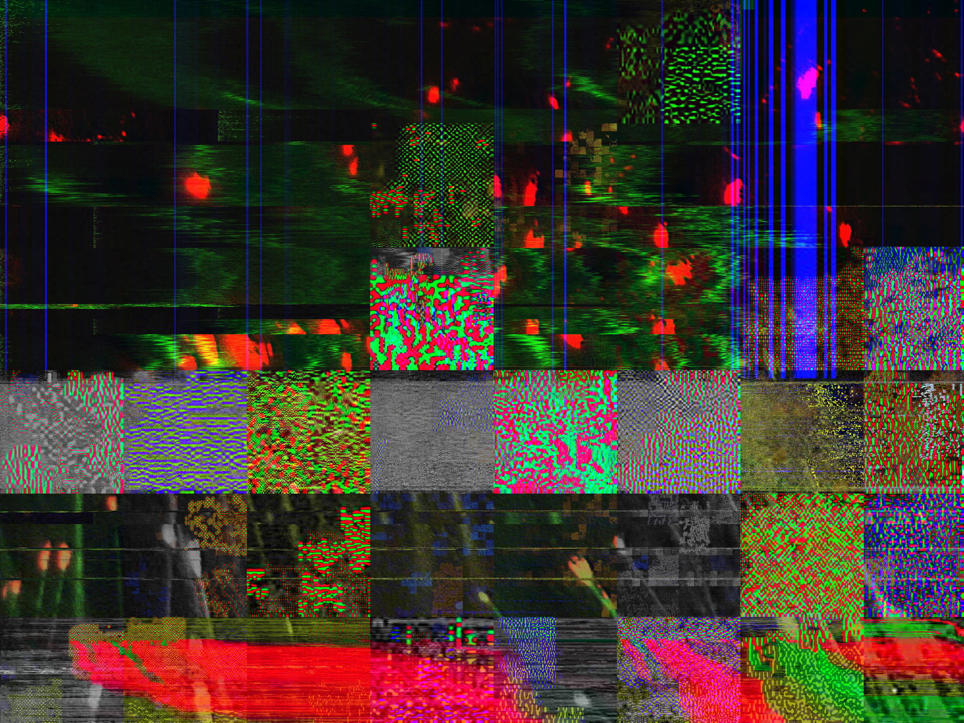 Dom Barra — Biologlitchy — Murine Cells, 2017